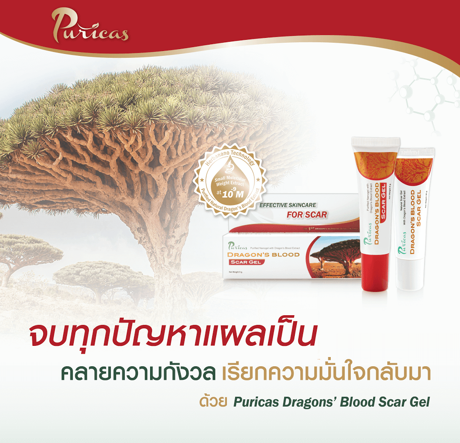 dragon blood scar gel, dragon blood scar gel pantip, dragon blood scar gel ขาย, dragon blood scar gel ซื้อที่ไหน ,dragon blood scar gel ราคา ,dragon blood scar gel รีวิว