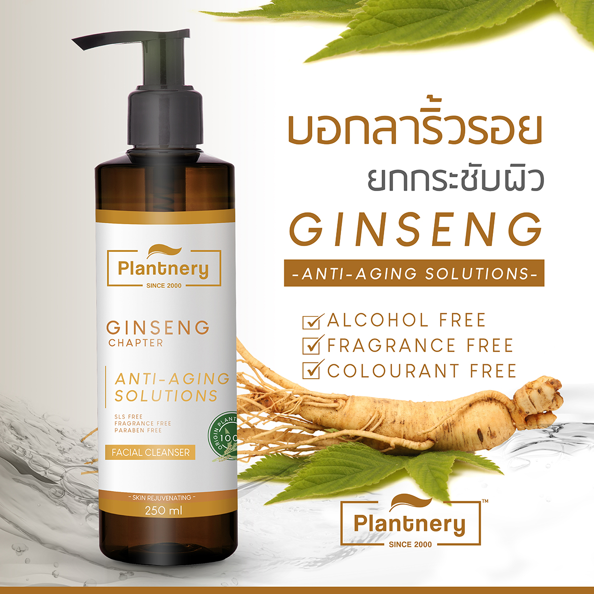 Plantnery Ginseng Facial Cleanser 250ml 