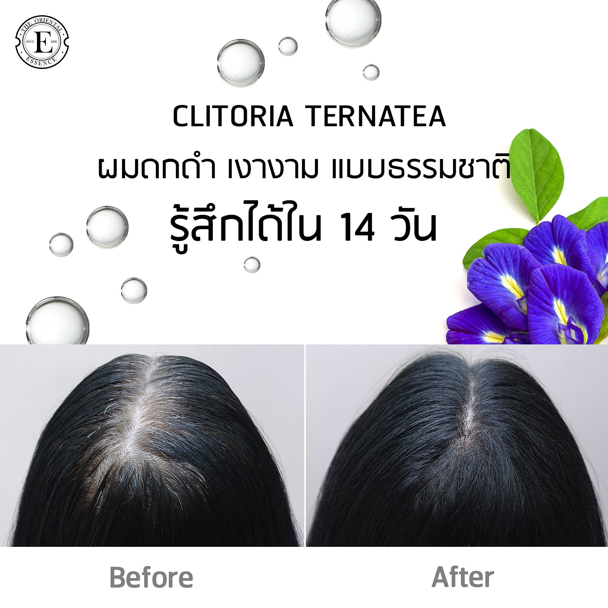 The Oriental Essence,Clitoria Ternatea Shampoo,The Oriental Essence Clitoria Ternatea Shampoo,แชมพูอัญชัน,แชมพู