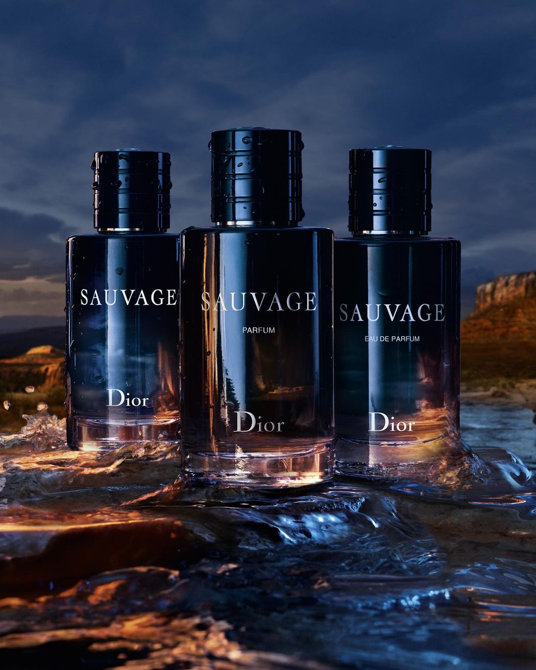 Dior Sauvage Eau De Parfum 